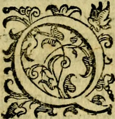 An illustration from Le imprese illustri del S.or Ieronimo Ruscelli., 1584, leaf 224