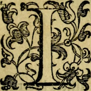 An illustration from Le imprese illustri del S.or Ieronimo Ruscelli., 1584, leaf 228