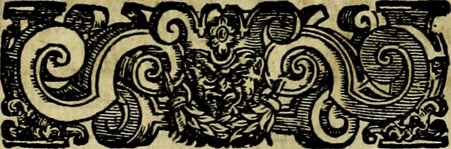 An illustration from Le imprese illustri del S.or Ieronimo Ruscelli., 1584, leaf 240