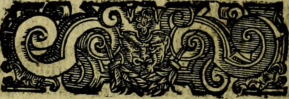 An illustration from Le imprese illustri del S.or Ieronimo Ruscelli., 1584, leaf 247