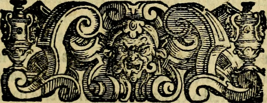 An illustration from Le imprese illustri del S.or Ieronimo Ruscelli., 1584, leaf 250