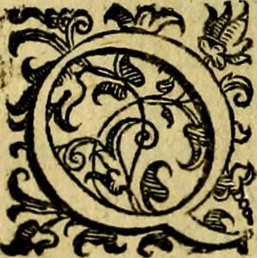 An illustration from Le imprese illustri del S.or Ieronimo Ruscelli., 1584, leaf 251