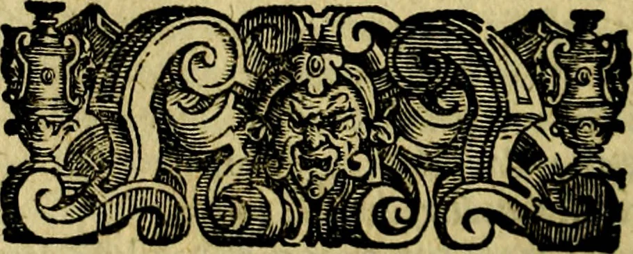 An illustration from Le imprese illustri del S.or Ieronimo Ruscelli., 1584, leaf 259
