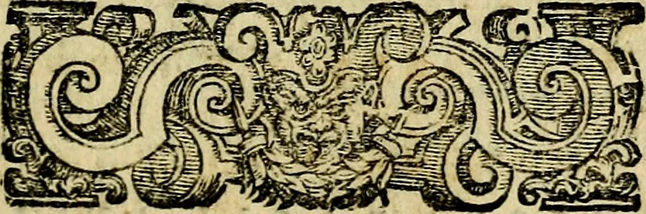 An illustration from Le imprese illustri del S.or Ieronimo Ruscelli., 1584, leaf 264