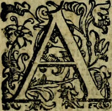 An illustration from Le imprese illustri del S.or Ieronimo Ruscelli., 1584, leaf 278