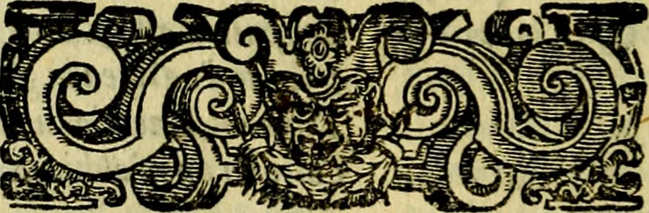 An illustration from Le imprese illustri del S.or Ieronimo Ruscelli., 1584, leaf 287