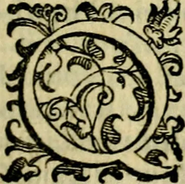 An illustration from Le imprese illustri del S.or Ieronimo Ruscelli., 1584, leaf 288