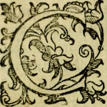 An illustration from Le imprese illustri del S.or Ieronimo Ruscelli., 1584, leaf 29