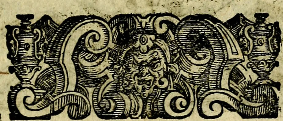 An illustration from Le imprese illustri del S.or Ieronimo Ruscelli., 1584, leaf 292
