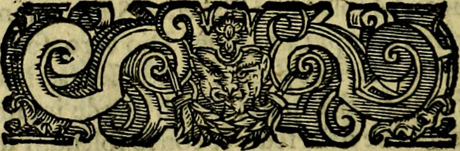 An illustration from Le imprese illustri del S.or Ieronimo Ruscelli., 1584, leaf 295