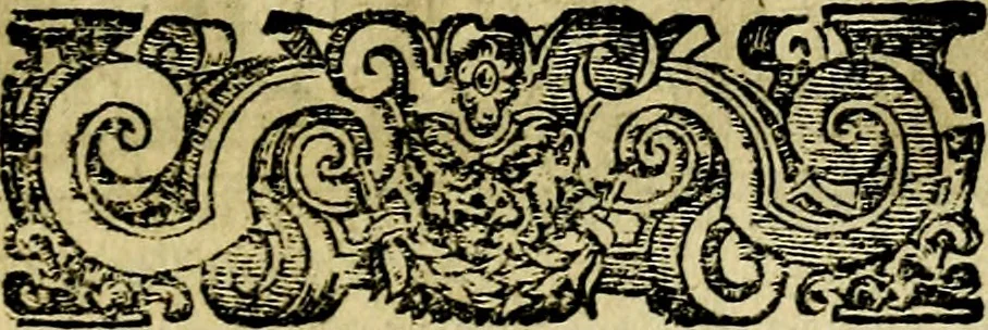 An illustration from Le imprese illustri del S.or Ieronimo Ruscelli., 1584, leaf 300