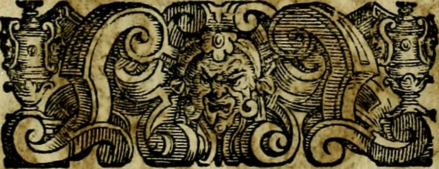 An illustration from Le imprese illustri del S.or Ieronimo Ruscelli., 1584, leaf 304