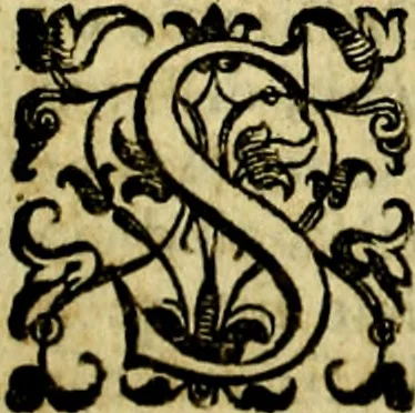 An illustration from Le imprese illustri del S.or Ieronimo Ruscelli., 1584, leaf 309