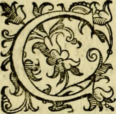 An illustration from Le imprese illustri del S.or Ieronimo Ruscelli., 1584, leaf 31