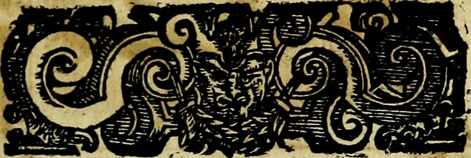 An illustration from Le imprese illustri del S.or Ieronimo Ruscelli., 1584, leaf 332