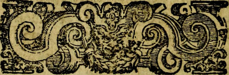 An illustration from Le imprese illustri del S.or Ieronimo Ruscelli., 1584, leaf 357