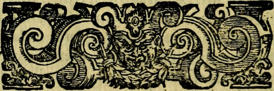 An illustration from Le imprese illustri del S.or Ieronimo Ruscelli., 1584, leaf 379