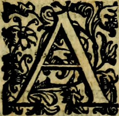 An illustration from Le imprese illustri del S.or Ieronimo Ruscelli., 1584, leaf 392