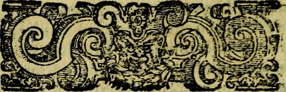 An illustration from Le imprese illustri del S.or Ieronimo Ruscelli., 1584, leaf 395