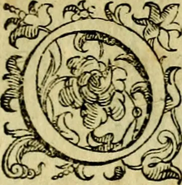 An illustration from Le imprese illustri del S.or Ieronimo Ruscelli., 1584, leaf 40