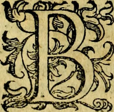 An illustration from Le imprese illustri del S.or Ieronimo Ruscelli., 1584, leaf 403
