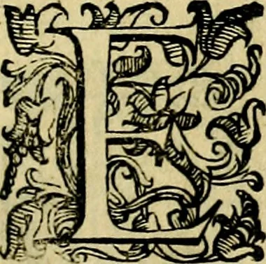 An illustration from Le imprese illustri del S.or Ieronimo Ruscelli., 1584, leaf 412