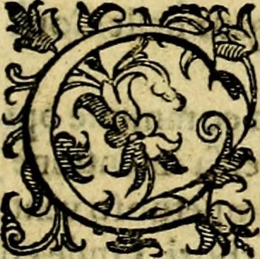 An illustration from Le imprese illustri del S.or Ieronimo Ruscelli., 1584, leaf 418