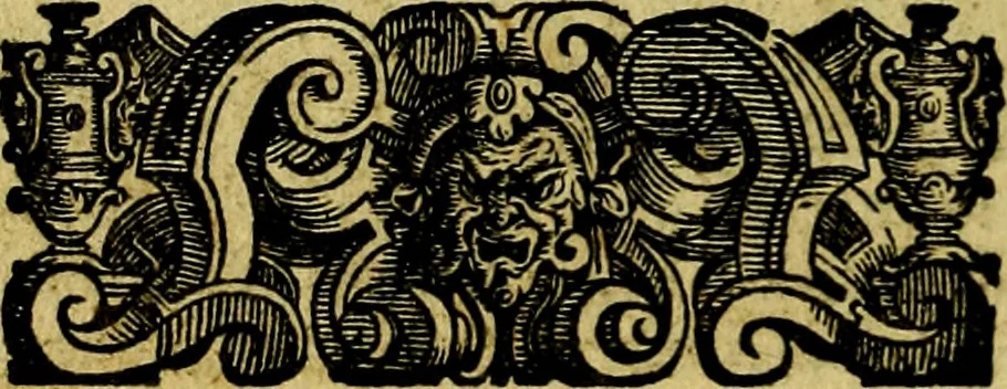 An illustration from Le imprese illustri del S.or Ieronimo Ruscelli., 1584, leaf 433
