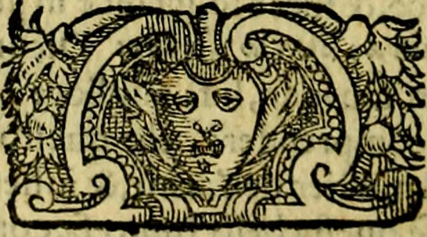 An illustration from Le imprese illustri del S.or Ieronimo Ruscelli., 1584, leaf 451