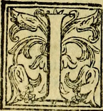 An illustration from Le imprese illustri del S.or Ieronimo Ruscelli., 1584, leaf 461