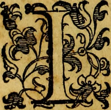 An illustration from Le imprese illustri del S.or Ieronimo Ruscelli., 1584, leaf 479