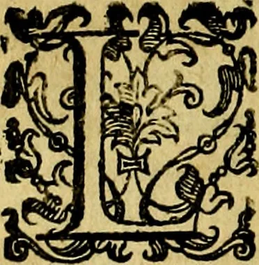 An illustration from Le imprese illustri del S.or Ieronimo Ruscelli., 1584, leaf 505