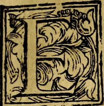 An illustration from Le imprese illustri del S.or Ieronimo Ruscelli., 1584, leaf 516