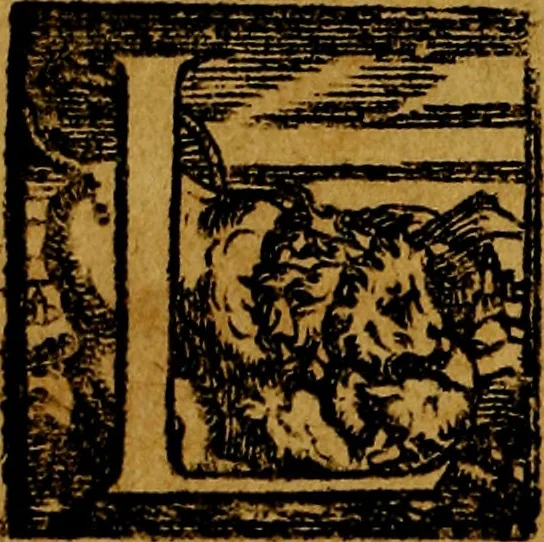 An illustration from Le imprese illustri del S.or Ieronimo Ruscelli., 1584, leaf 521