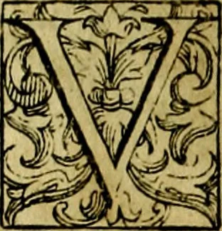 An illustration from Le imprese illustri del S.or Ieronimo Ruscelli., 1584, leaf 529