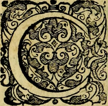 An illustration from Le imprese illustri del S.or Ieronimo Ruscelli., 1584, leaf 545