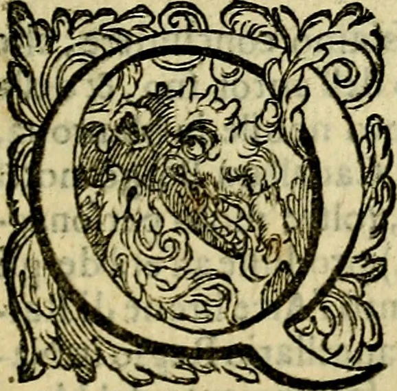 An illustration from Le imprese illustri del S.or Ieronimo Ruscelli., 1584, leaf 554