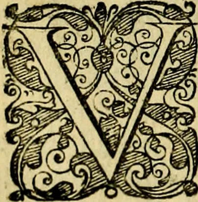 An illustration from Le imprese illustri del S.or Ieronimo Ruscelli., 1584, leaf 557