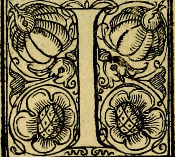 An illustration from Le imprese illustri del S.or Ieronimo Ruscelli., 1584, leaf 575