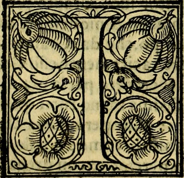 An illustration from Le imprese illustri del S.or Ieronimo Ruscelli., 1584, leaf 581