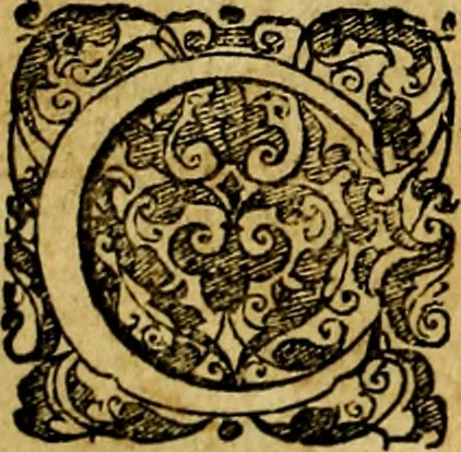 An illustration from Le imprese illustri del S.or Ieronimo Ruscelli., 1584, leaf 591