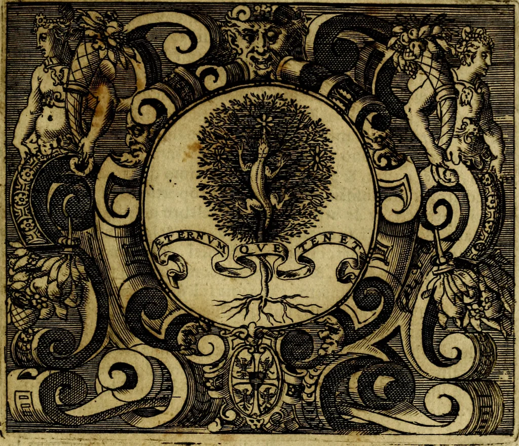 An illustration from Le imprese illustri del S.or Ieronimo Ruscelli., 1584, leaf 596