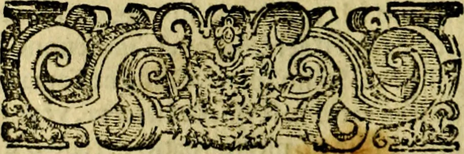 An illustration from Le imprese illustri del S.or Ieronimo Ruscelli., 1584, leaf 73