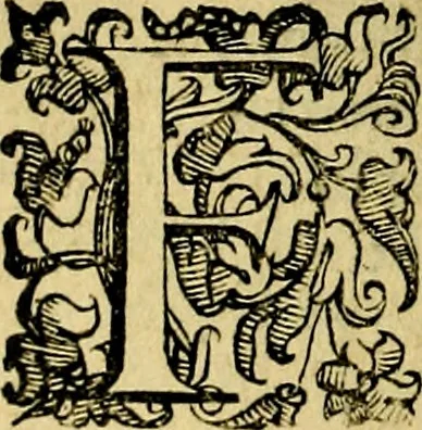 An illustration from Le imprese illustri del S.or Ieronimo Ruscelli., 1584, leaf 77