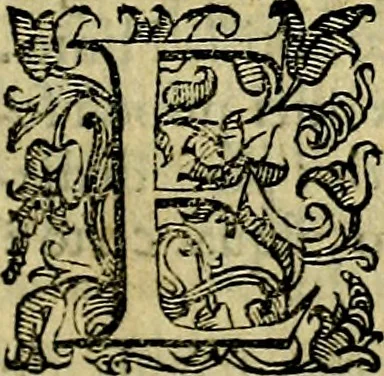 An illustration from Le imprese illustri del S.or Ieronimo Ruscelli., 1584, leaf 80