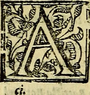 An illustration from Le imprese illustri del S.or Ieronimo Ruscelli., 1584, leaf 29