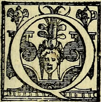 An illustration from Le imprese illustri del S.or Ieronimo Ruscelli., 1584, leaf 306