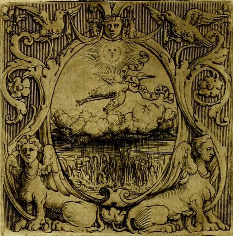 An illustration from Le imprese illustri del S.or Ieronimo Ruscelli., 1584, leaf 315