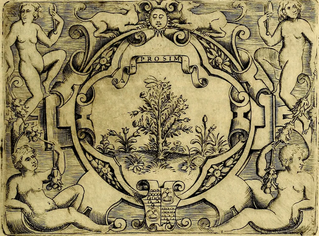 An illustration from Le imprese illustri del S.or Ieronimo Ruscelli., 1584, leaf 456