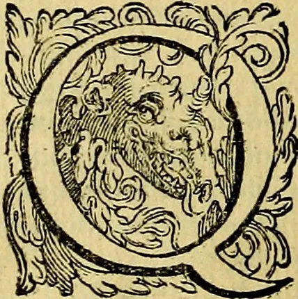An illustration from Le imprese illustri del S.or Ieronimo Ruscelli., 1584, leaf 555